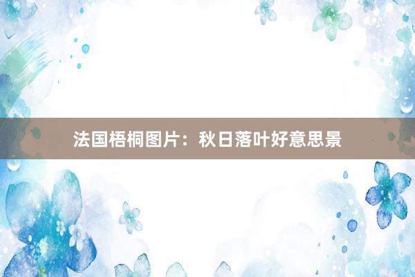 法国梧桐图片:秋日落叶好意思景